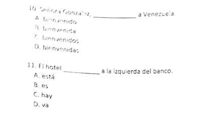 Please help answer these multiple choice questions (with an explaination on why u-example-1