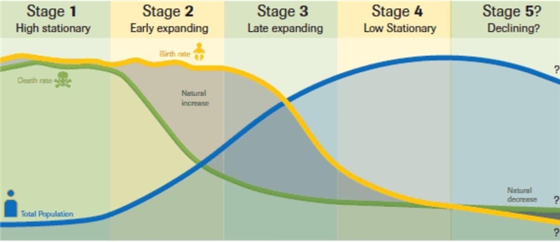 Which stage of the Demographic Transition Model do you think the person is living-example-1