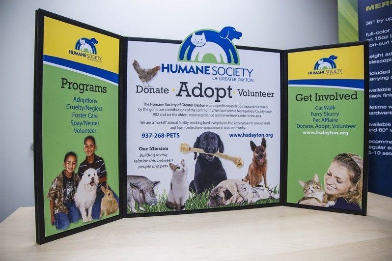 So, I am making a tri-fold display board on a animal shelter for cats. I need ideas-example-3