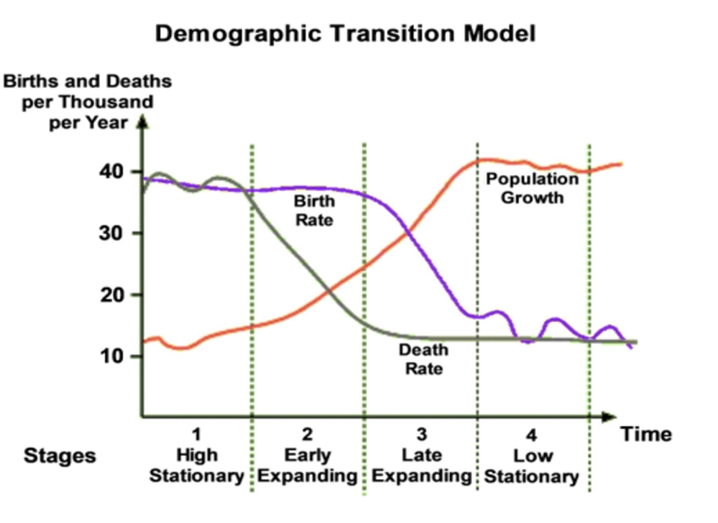 Which of the following marks the movement of a country into Stage 2? A slowing in-example-1