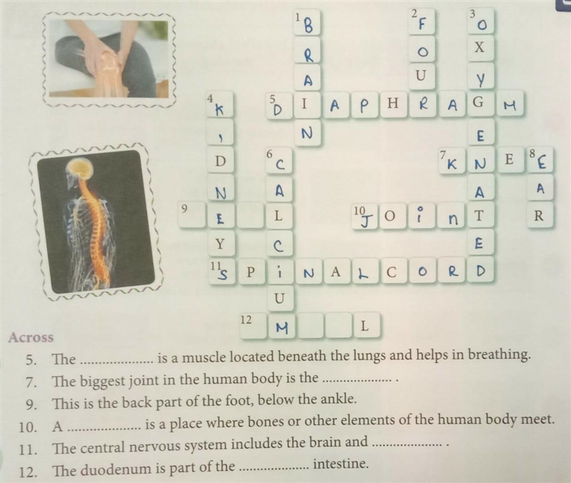 Need help with the 9th and 12th puzzle ( general knowledge ) ....​-example-1