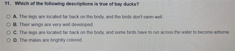 Bay ducks one of it right.-example-1