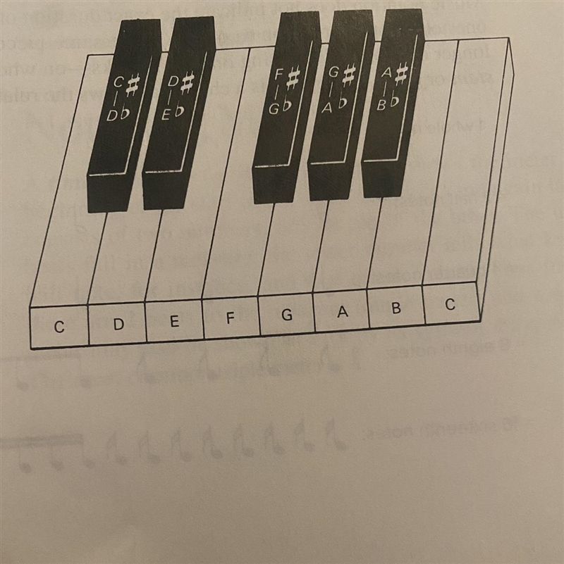 What letter name is a 5th below E?￼-example-1