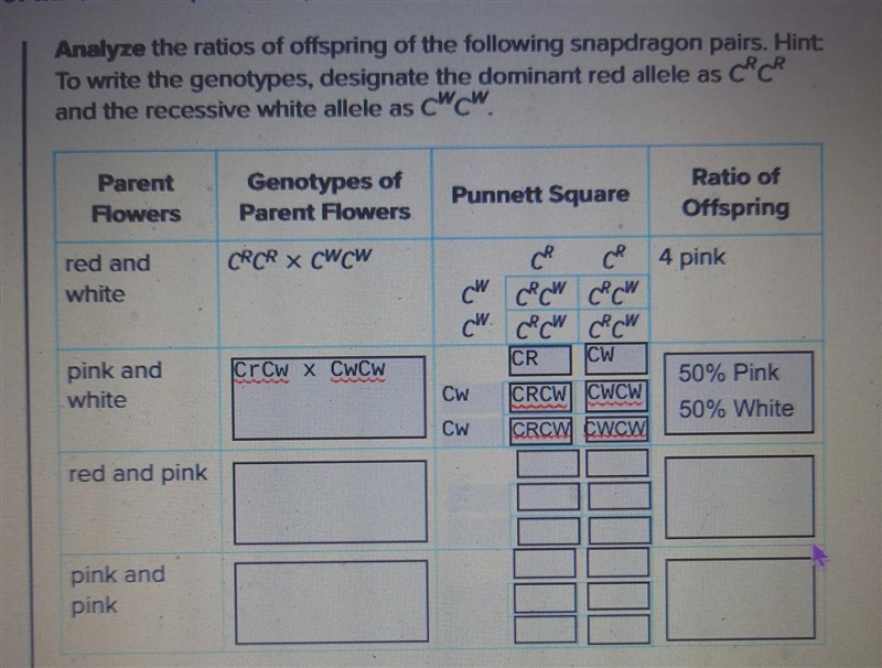 Complex patterns of inheritance, 10th grade3rdproblem: Red and Pink - Parent Flowers-example-1