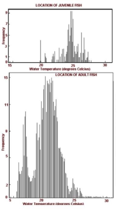 The most accurate conclusion to be drawn from the graphs is that... A.) Adult fish-example-1