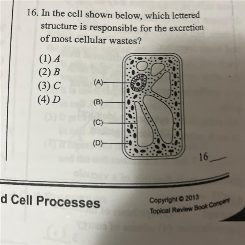 Help me pls I need this question done asap-example-1