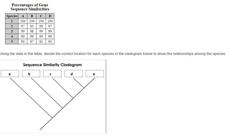 A biologist sequences a gene shared by five different species. The percentage of sequence-example-1