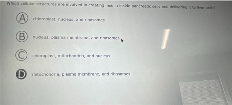 Which structures are involved in creating insulin inside pancreatic cells-example-1