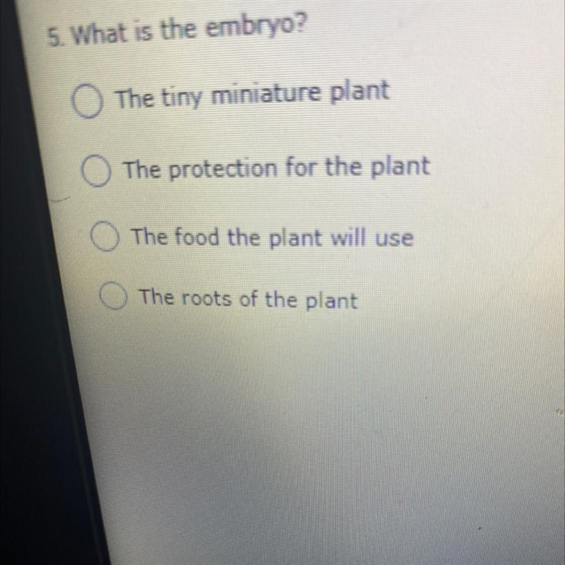 What is the embryo the tiny miniature plant the Protection for the plant the food-example-1