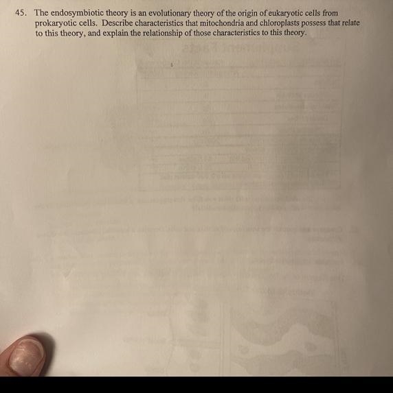 I need help with finding the answer to this question-example-1