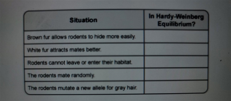 A species of rodent can either have brown fur or white fur. Brown fur is recessive-example-1