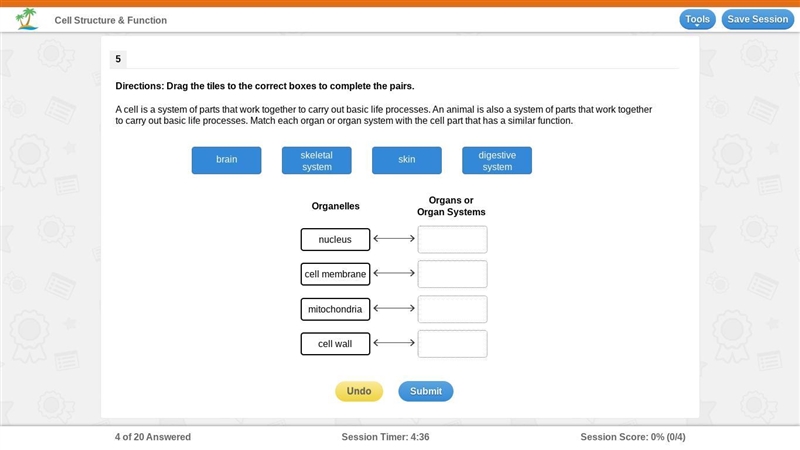 A cell is a system of parts that work together to carry out basic life processes. An-example-1