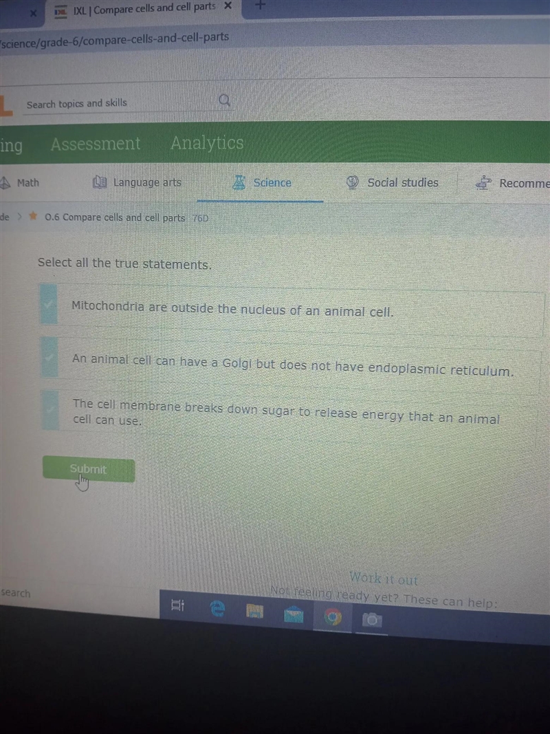 select all the true statements :a) Mitochondria are outside the nucleus of an animal-example-1