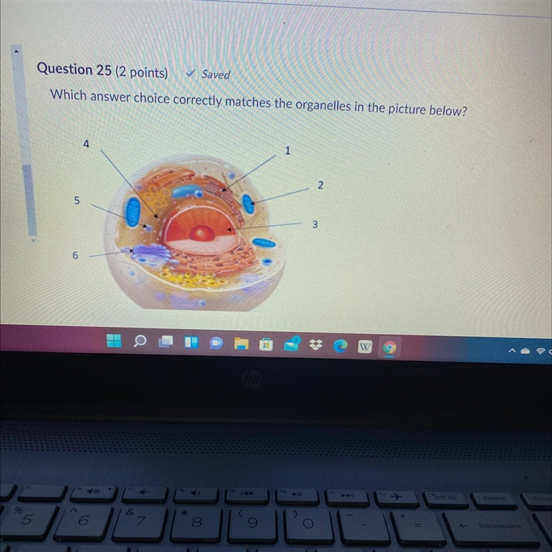 HELP ! 50 POINTS ! A). 3 is the nucleus; 5 is a ribosome B). 1 is the rough endoplasmic-example-1