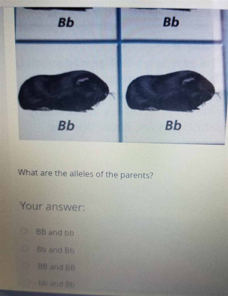 What are the alleles of the parents? NO LINKS, CORRECT ANSWERS PLEASE​-example-1