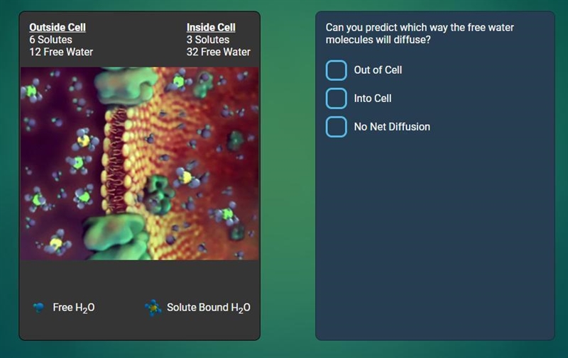 Can you predict which way the free water molecules will diffuse?-example-1
