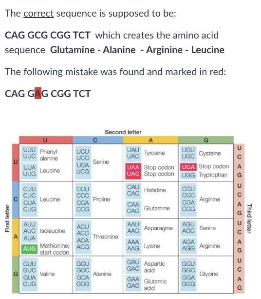 In the space below, answer the following questions: (USE CER)1) Using the codon table-example-1