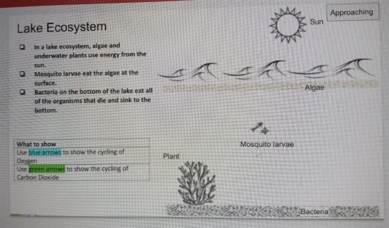 Please help with the question below.-example-1