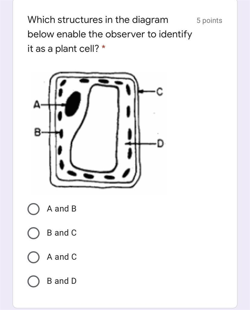 Pls help. Plant cell-example-1