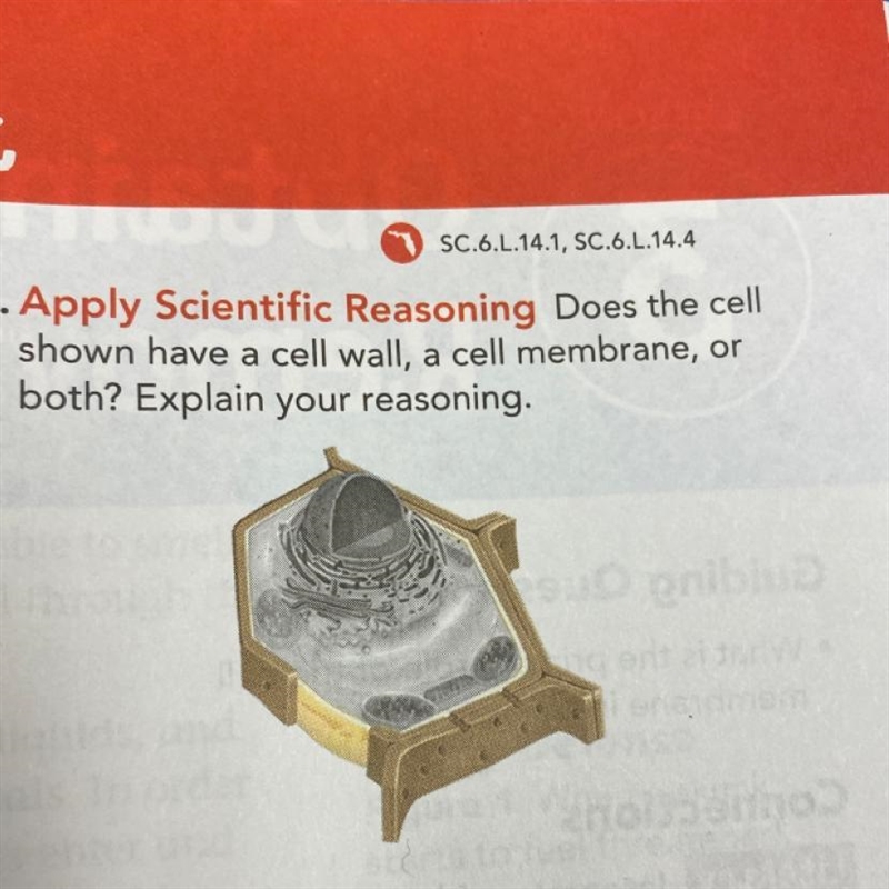 Does the cell shown have a cell wall a cell membrane or both? Explain pls-example-1