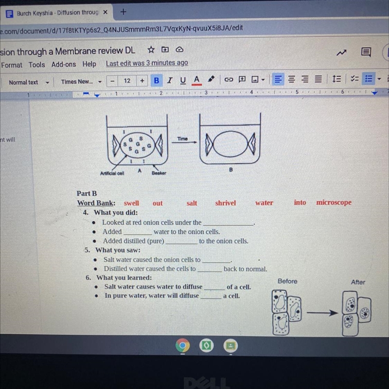 I need help filling in the blink-example-1