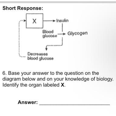 I really need help with 6 thanks you-example-1