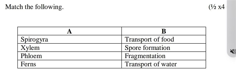 Match the following ​-example-1