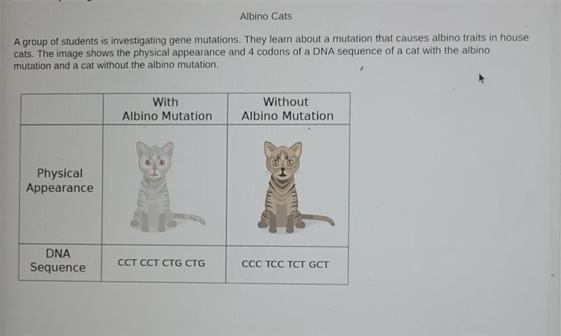 Question: What is the mRNA sequence of the Albino Cat? What mutation gave the albino-example-1