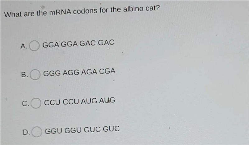 Question: What is the mRNA sequence of the Albino Cat? What mutation gave the albino-example-2