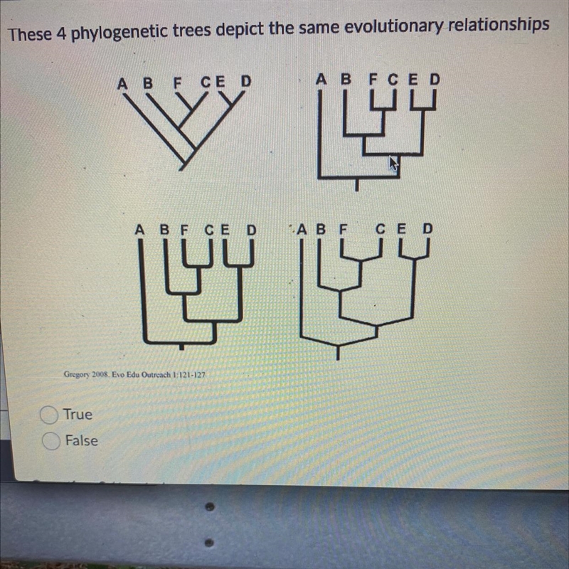 Need help. 20 points!-example-1