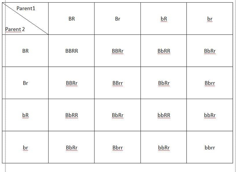 How do I set up or the punnet square or what do I put on the left side?-example-1