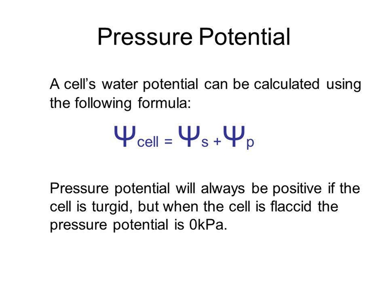 what is the difference between pressure potential and solute potential and give the-example-1