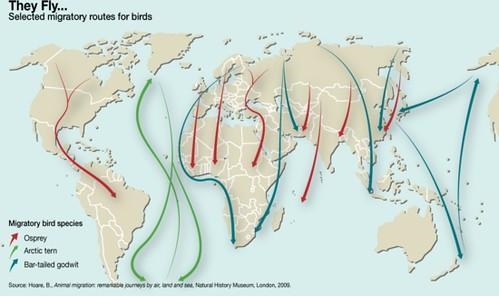 Data on the immigration and emigration of a species would be most helpful in determining-example-1