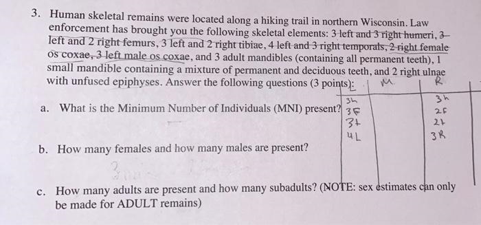 3. Human skeletal remains were located along a hiking trail in northern Wisconsin-example-1