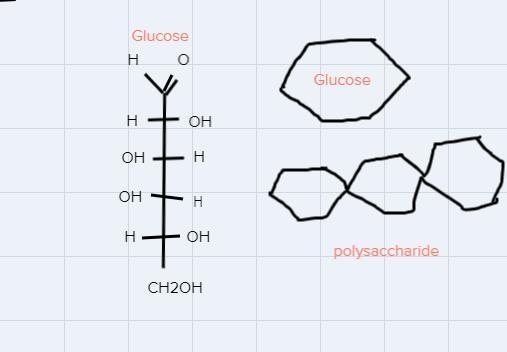 Can you draw a bio molecule and label the parts? (carbohydrate)The elements, monomer-example-1