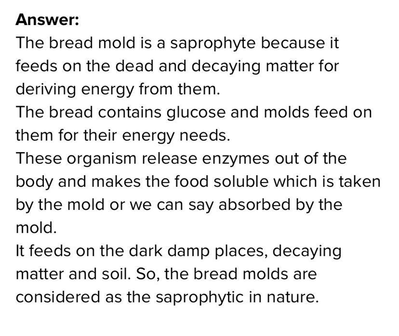 What are 5 signs your bread is ridded with mold? Cooking is close to Biology I think-example-1