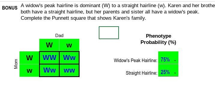 A widow's peak hairline is dominant (W) to a straight hairline (w). Karen and her-example-1