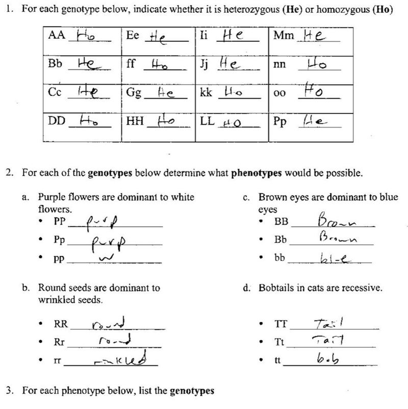 Genetics practice- horses worksheets answers key-example-1