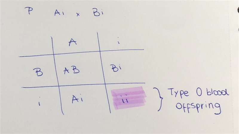 A couple with type A blood and type B blood have several children. One of the children-example-1