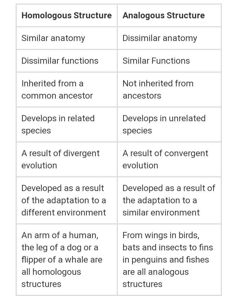 Difference between homologous and analogous organs ​-example-2