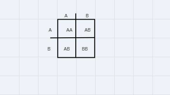 What blood types are possible for a child whose parents both have AB blood type?I-example-1