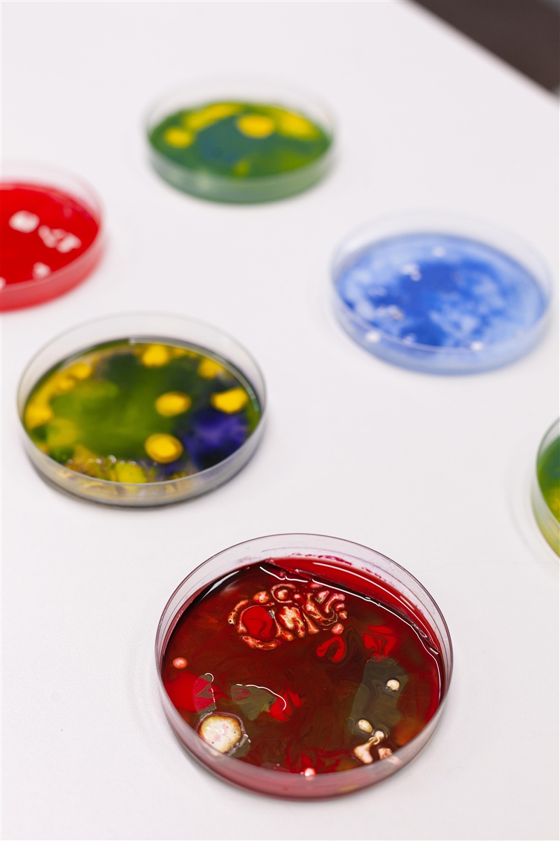 Compare and contrast two common laboratory techniques: cell culturing and cell fractionation-example-1