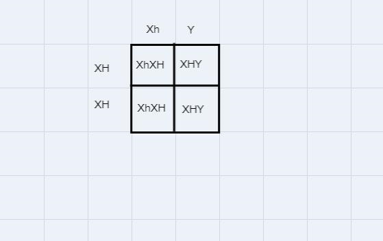 Hemophilia is caused by an x-linked recessive allele if a man who has hemophilia marries-example-1