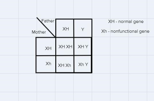 Draw a Punnett square to help you: A woman who is a carrier marries a normal man.a-example-1