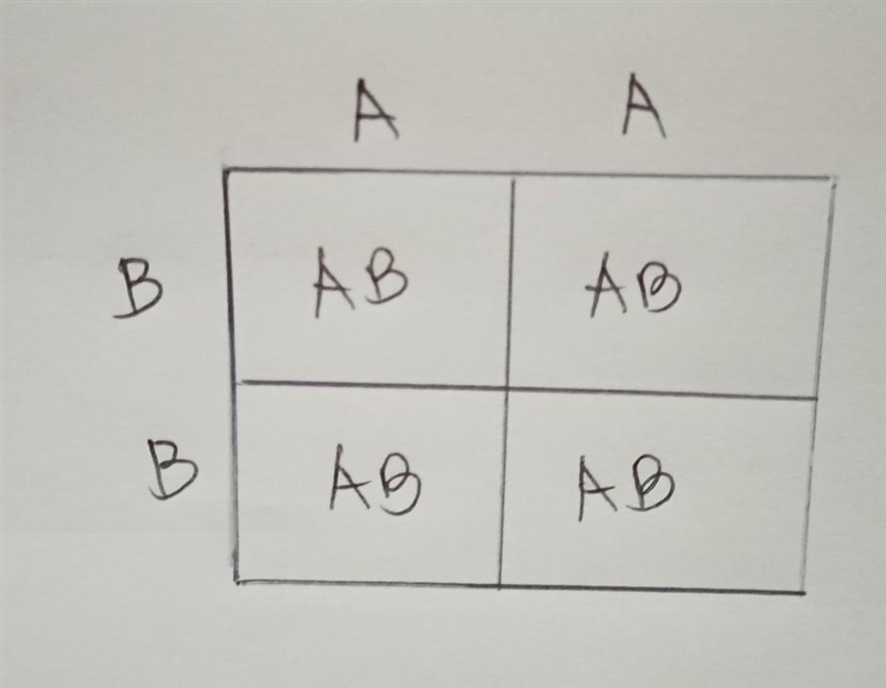 Complex patterns of inheritance, 10th gradeIdentify Blood Group Resulting from each-example-1