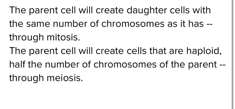 how dose the number of chromosomes found in the two daughter cells compare to the-example-1