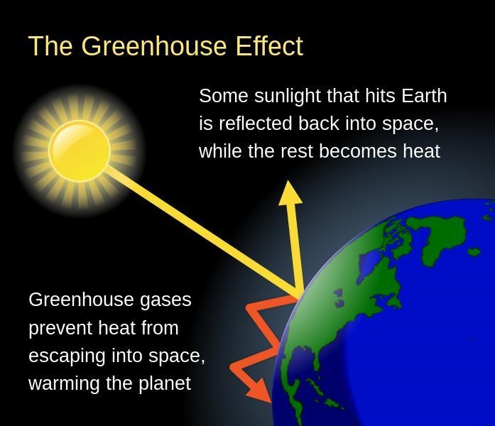 Which of the following describes how Earth’s temperature is maintained by the greenhouse-example-1