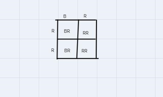 Complete a Punnett square on your own in order to answer the question: A purple flowered-example-1