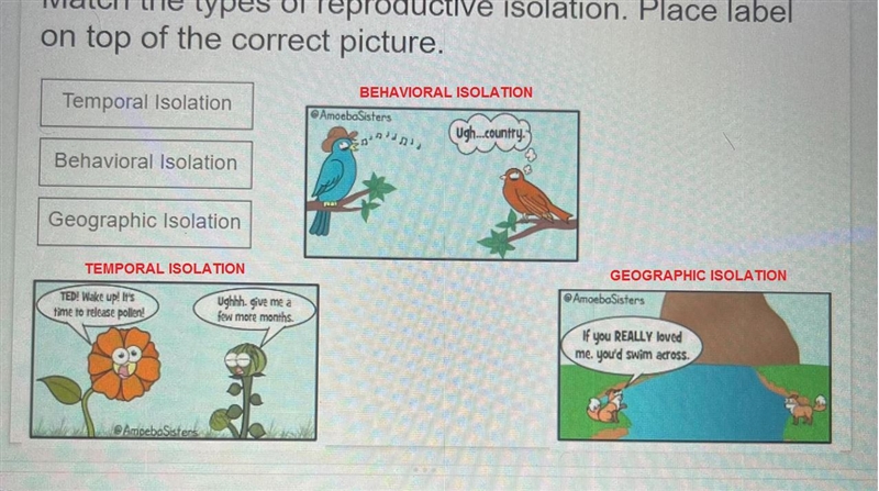 Match the types of reproductive isolation. Place labelon top of the correct picture-example-1