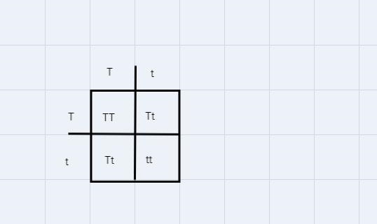 Should you please be able to help me on this question-example-2